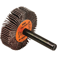 Disques &agrave; lamelles - Meules &agrave; lamelles Coolcut, Oxyde d'aluminium, Grain 80, 1-1/2" x 3/8" x 1/4" Par Equipment