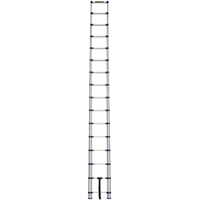 Telescopic Ladder, 3' - 15.5', Aluminum, 250 lbs. Capacity, Type 1 Par Equipment