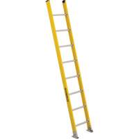 Industrial Extra Heavy-Duty Straight Ladders (5600 Series), 8', Fibreglass, 375 lbs., CSA Grade 1AA VC268 | Par Equipment