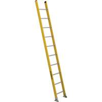 Industrial Extra Heavy-Duty Straight Ladders (5600 Series), 10', Fibreglass, 375 lbs., CSA Grade 1AA VC269 | Par Equipment
