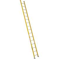 Industrial Extra Heavy-Duty Straight Ladders (5600 Series), 16', Fibreglass, 375 lbs., CSA Grade 1AA VC272 | Par Equipment
