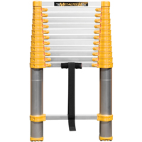 Telescopic Ladder, 3' - 12', Aluminum, 250 lbs. Capacity, Type 1 Par Equipment