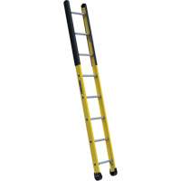 Single Manhole Ladder, 8', Fibreglass, 375 lbs., CSA Grade 1AA Par Equipment