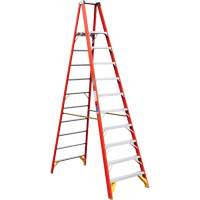 Platform Ladder, 10', 300 lbs. Cap. VD528 | Par Equipment