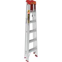 Step Ladder with Paint Tray, 6', Aluminum, 200 lbs. Capacity, Type 3 Par Equipment