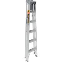 Step Ladder with Paint Tray, 6', Aluminum, 225 lbs. Capacity, Type 2 Par Equipment