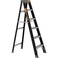 Step Ladder, 6', Fibreglass, 250 lbs. Capacity, Type 1 Par Equipment