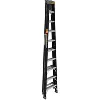 Step Ladder with Paint Tray, 10', Fibreglass, 250 lbs. Capacity, Type 1 Par Equipment