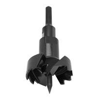 Standard Self-Feed Drill Bit, 3-5/8", 6" Length, 7/16" Hex Shank Par Equipment
