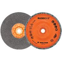 Blendex U Finishing Cup Disc, 5" Dia., Fine Grit, Silicon Carbide Par Equipment