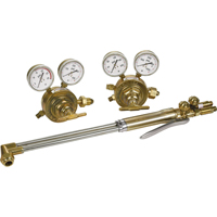 PROFESSIONAL KV850-21 Without  TIPS AND ACCESS V STYL Par Equipment