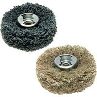 2-Piece EZ Lock Finishing Abrasive Buffs Par Equipment