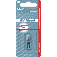 Ampoule de rechange pour lampe de poche rechargeable Par Equipment