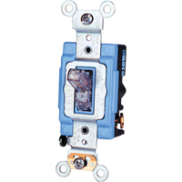 Switches, Outlets & Timers