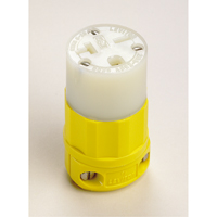 Connecteur de broches droites mis &agrave; la terre &agrave; deux bornes et trois fils, 5-20P, Nylon Par Equipment