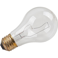 AMPOULE INCANDESCENTE,25W,130V,CLAIR,4/PQT Par Equipment