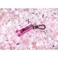 Lampes de poche Nano Light Par Equipment