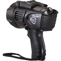 Projecteurs style pistolet Waypoint, DEL, 550 Lumens, Piles C Par Equipment