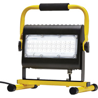 Projecteur d'illumination, DEL, 50 W, 4800 lumens, Boîtier en Aluminium Par Equipment