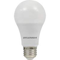 LED Bulb, A19, 6 W, 450 Lumens, E26 Medium Base XI030 | Par Equipment