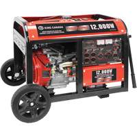 Electric Start Gas Generator with Wheel Kit, 12000 W Surge, 9000 W Rated, 120 V/240 V, 31 L Tank XI538 | Par Equipment
