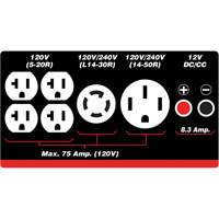 Gasoline/Propane Generator with Electric Start Par Equipment