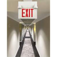 Exit Sign with Security Lights, LED, Battery Operated/Hardwired, 12-1/10" L x 11" W, English XI789 | Par Equipment