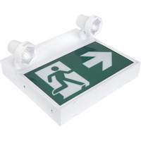 Running Man Sign with Security Lights, LED, Battery Operated/Hardwired, 12-1/10" L x 11" W, Pictogram XI790 | Par Equipment
