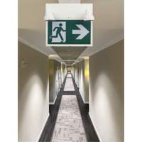 Running Man Sign with Security Lights, LED, Battery Operated/Hardwired, 12-1/10" L x 11" W, Pictogram Par Equipment