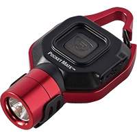 Lampe de poche USB Pocket Mate Par Equipment