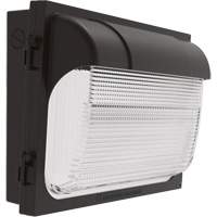 TWX Wall Luminaire, LED, 480 V, 9 W - 54 W, 14" H x 18" W x 5" D XI974 | Par Equipment