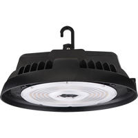 HBX2 Series High Bay, LED, 277 - 480 V, 300 W Par Equipment