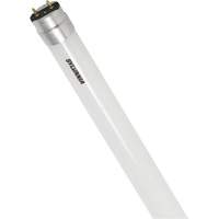 SubstiTUBE<sup>®</sup> Frosted Glass LED Bulb, 12 W, T8, 5000 K, 48" L XJ097 | Par Equipment