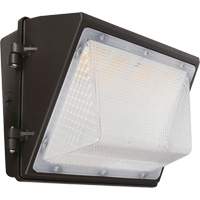 Non-Cutoff Wall Pack, LED, 120 - 277 V, 75 - 110 W, 9.33" H x 6.65" W x 14.5" D Par Equipment