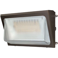 Wall Pack Light Fixture, LED, 120 -347 V, 40 W Par Equipment