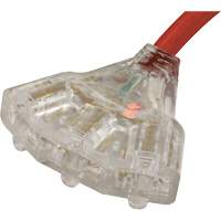 Generator Extension Cord with Tritap, STW, 10 AWG, 3 Outlet(s), 25' Par Equipment
