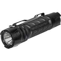 PolyTac&reg; 1X Flashlight, LED, 350 Lumens, AA/CR123A Batteries Par Equipment
